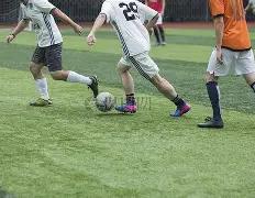 天津日报,数字报阅读,平台,PM体育官方网站,PM体育app下载平台,PM体育平台首页,PM体育官网入口