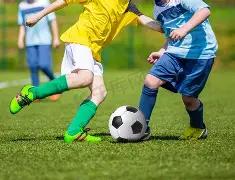 明星云集,江南小镇一,夜之间成为,PM体育官方网站,PM体育app下载平台,PM体育平台首页,PM体育官网入口