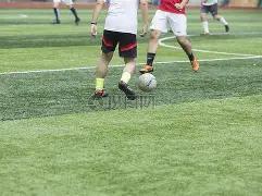 山东全运荣,连续五冠背,后的奋进精,PM体育官方网站,PM体育app下载平台,PM体育平台首页,PM体育官网入口