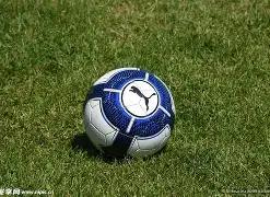 体育,下载平台,产品,PM体育官方网站,PM体育app下载平台,PM体育平台首页,PM体育官网入口