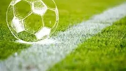 PM体育app下载平台 产品 093625 ray